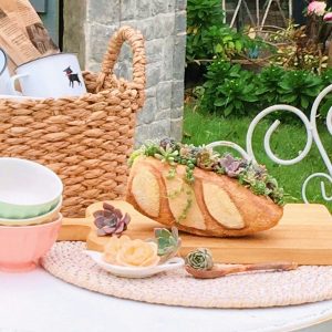 フランスパン植木鉢